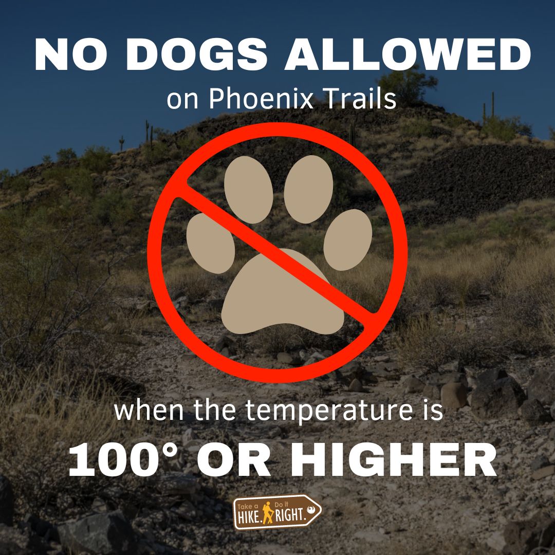 PhoenixParks's tweet image. ATTN Phoenix! HIKERS! Dogs are NOT ALLOWED on Phoenix Trails when temperatures reach 100° and higher. 

Please share with friends and family to keep our furry friends safe and alive!