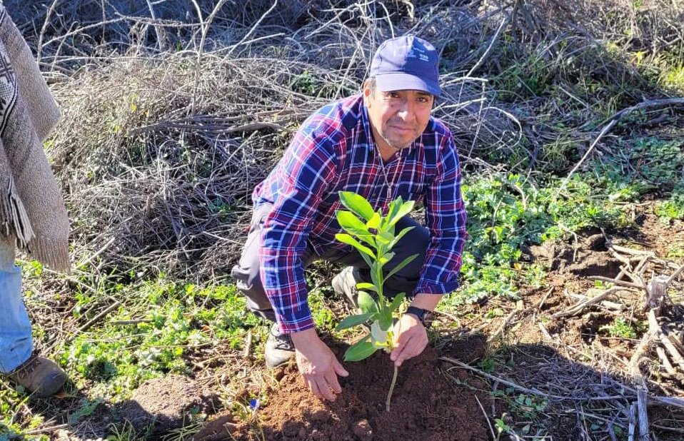 ElCollipullense's tweet photo. Comunidades del lago Lleu Lleu restauran 30 hectáreas con plantas nativas https://t.co/BJ5M1C8OT6 https://t.co/xKHSrFfC0t