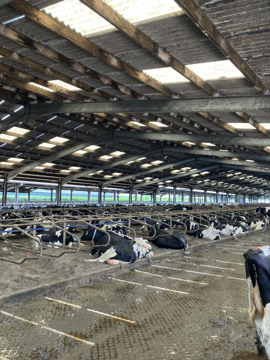 Kite Consulting tweet media