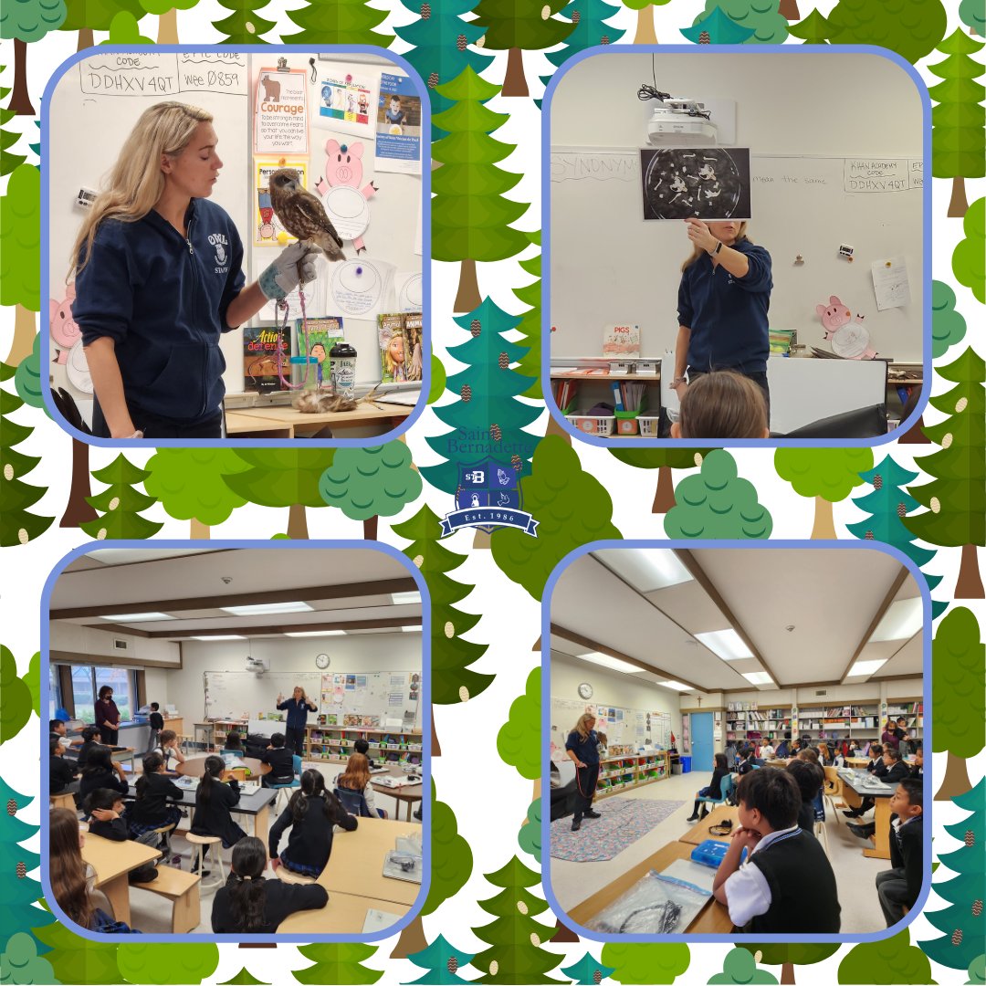 stbeeconnects's tweet photo. Up next in our favorite memories series is Grade 3 and the visit the had from OWL Rehab, with brought along an owl and a hawk! #favoritememory #endofyesarhighlight #grade3 #stbeestudents https://t.co/fLvUYj69zv