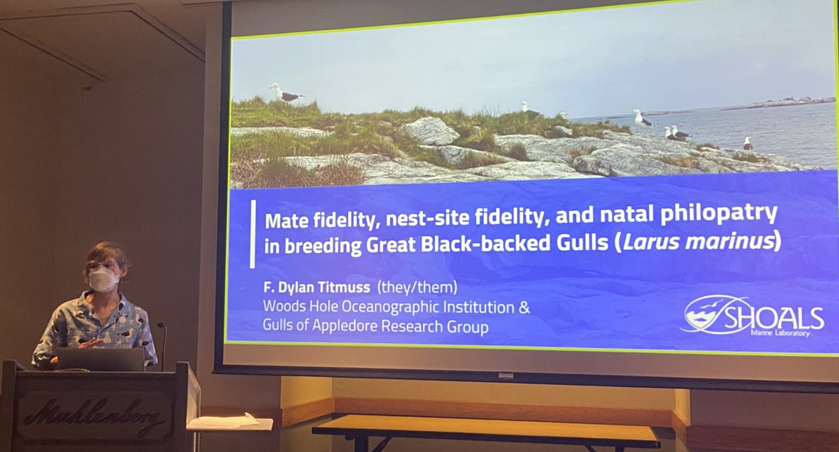The fantastic <a href="/DylanTitmuss/">Dylan Titmuss 🏳️‍🌈🏳️‍⚧️</a> gave an engaging talk about the #AppledoreIsland gulls!!
<a href="/ShoalsMarineLab/">Shoals Marine Lab</a>