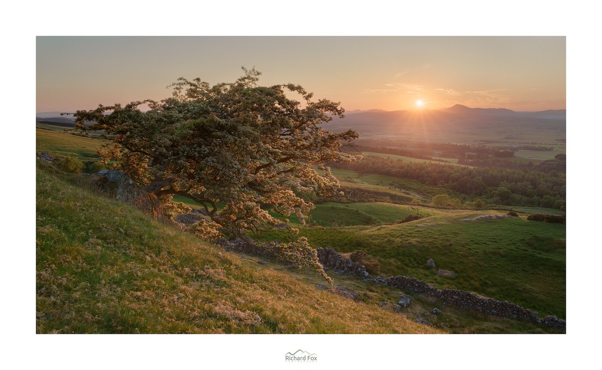darin_goodsell's tweet photo. Well done to the #Sharemondays2023 top 4 this week: @RichardFoxPhoto, @_Ryan_Kerr, @lucus_hunt and @MiradorDesign! Winner to be announced very shortly.. https://t.co/hxGNDRpyob