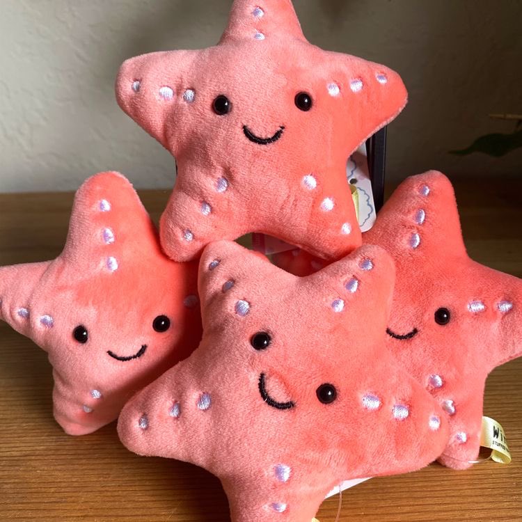 sea star plushies 🎀