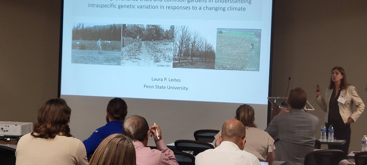 NowickiLab (@labnowicki) on Twitter photo Last but certainly not least, presenting at #SFTIC2023 Schatz Symposium: <a href="/penn_state/">Penn State</a> Dr. Laura P. Leites on provenance trials under #ClimateChange Last but certainly not least, presenting at #SFTIC2023 Schatz Symposium: <a href="/penn_state/">Penn State</a> Dr. Laura P. Leites on provenance trials under #ClimateChange