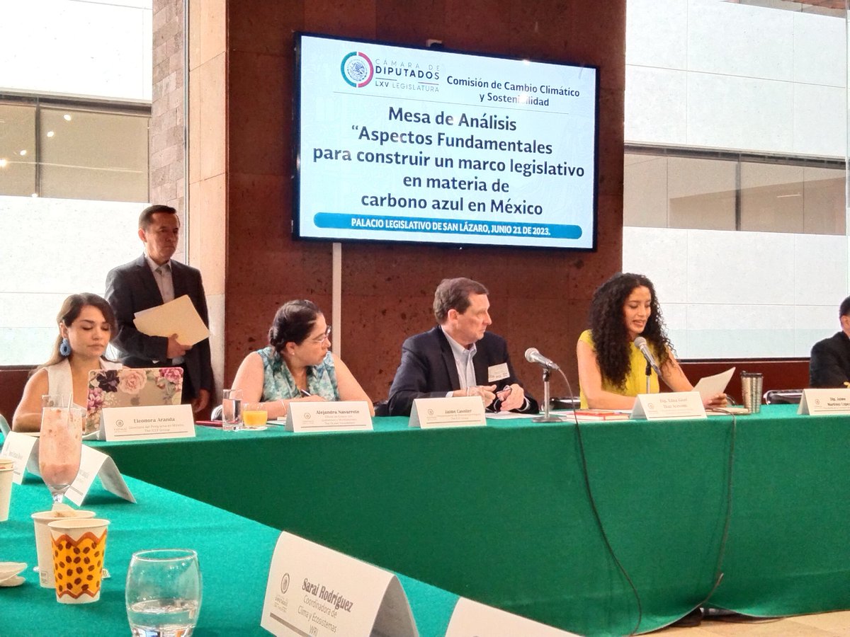 celis_xime's tweet photo. En la #CámaradeDiputados se llevó a cabo la mesa de análisis sobre los aspectos fundamentales para construir un marco legislativo en materia de carbono azul en México donde tuve la oportunidad de participar. 
@TheICCFGroup @EdnaDiazMx @eleoo_nora https://t.co/0M64Z3g1Vd