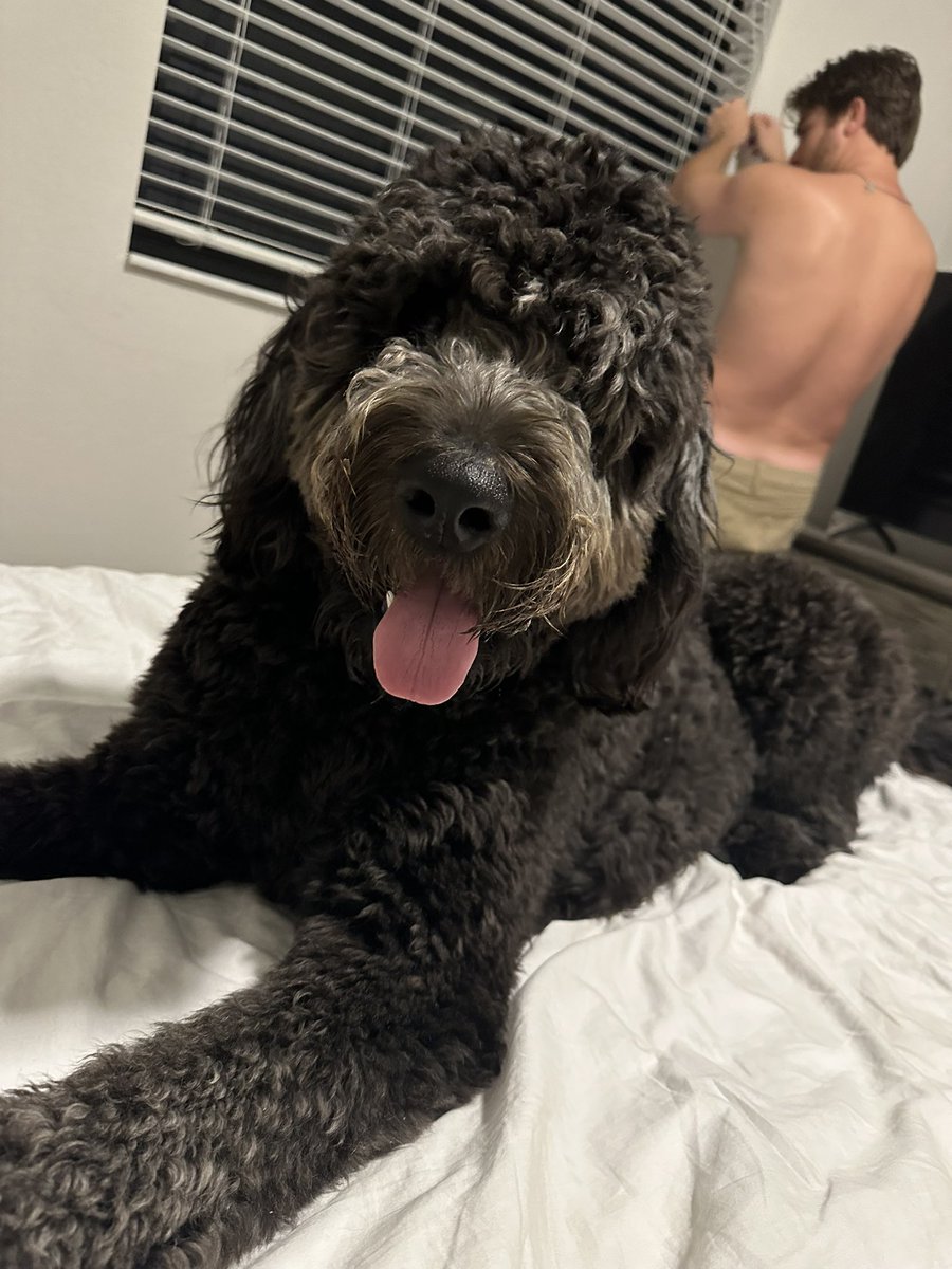 🐶💙