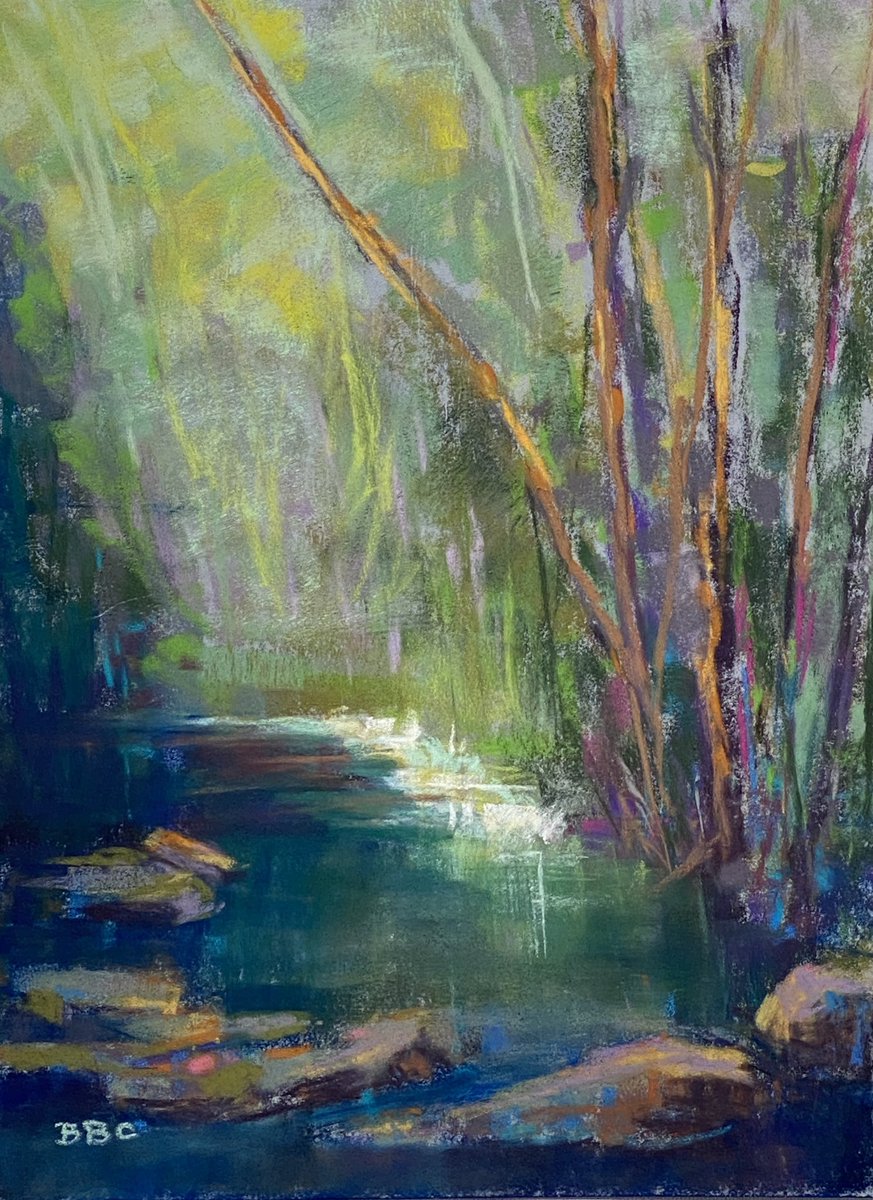 Cooling off at Tanyard Creek in Buckhead. This is my 9.5x7” #pastelpainting  #atlanta #ARTlanta #pleinairpastel #pleinair #weloveatl