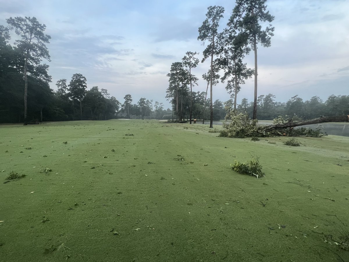 40+ trees came down with yesterdays storm