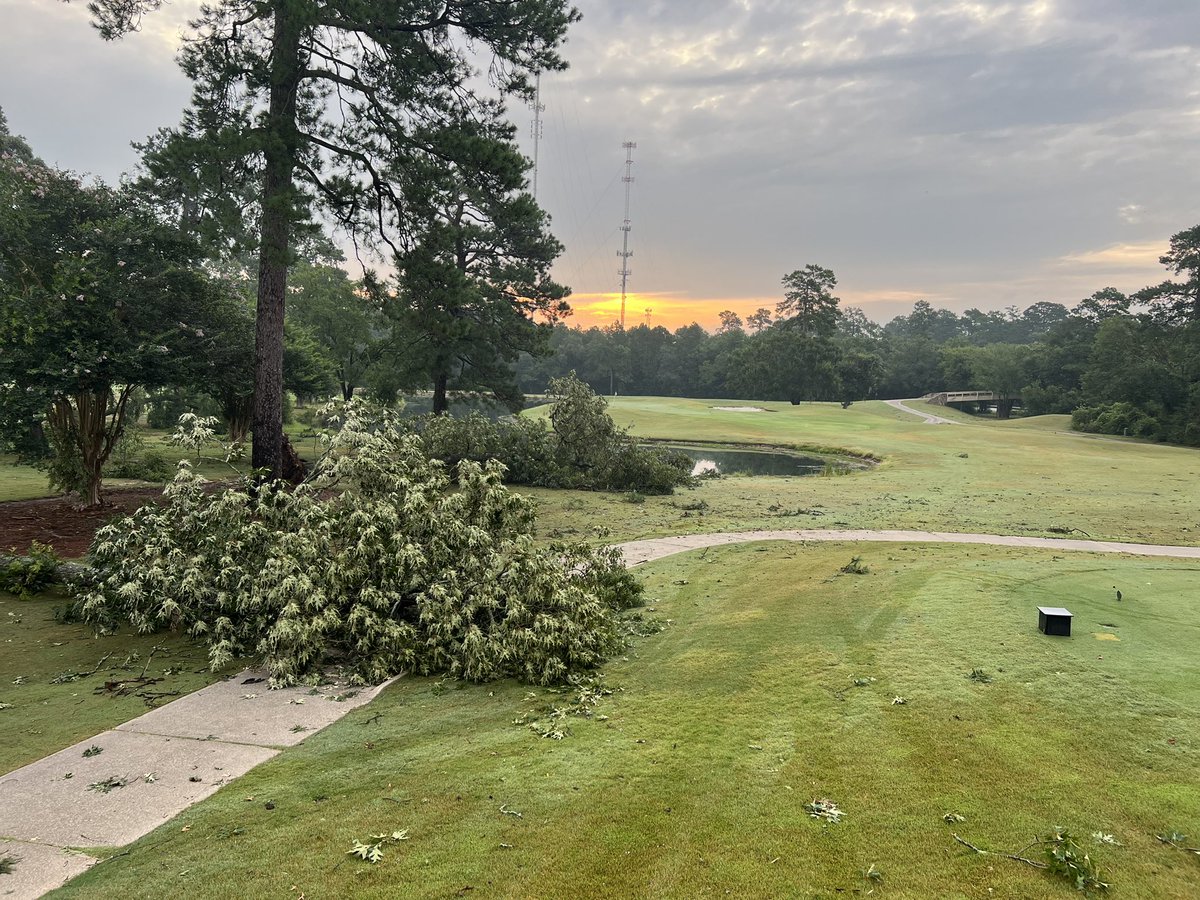 WCCTour_Super's tweet photo. 40+ trees came down with yesterdays storm https://t.co/B6f33C4WF1