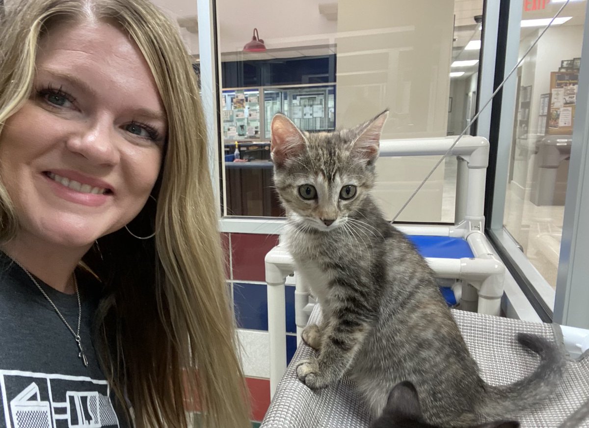 amy_galvan's tweet image. Cuteness overload at the ⁦@HoustonHumane⁩ Society today! Lots-o-fun snuggling with the puppies &amp;amp; kitties, plus helped decorate their pride float &amp;amp; assemble 84 bags of dog food for the Pet Pantry event. I 🫶 @Stantec in the Community Week! #StantecTogether #StantecHOU