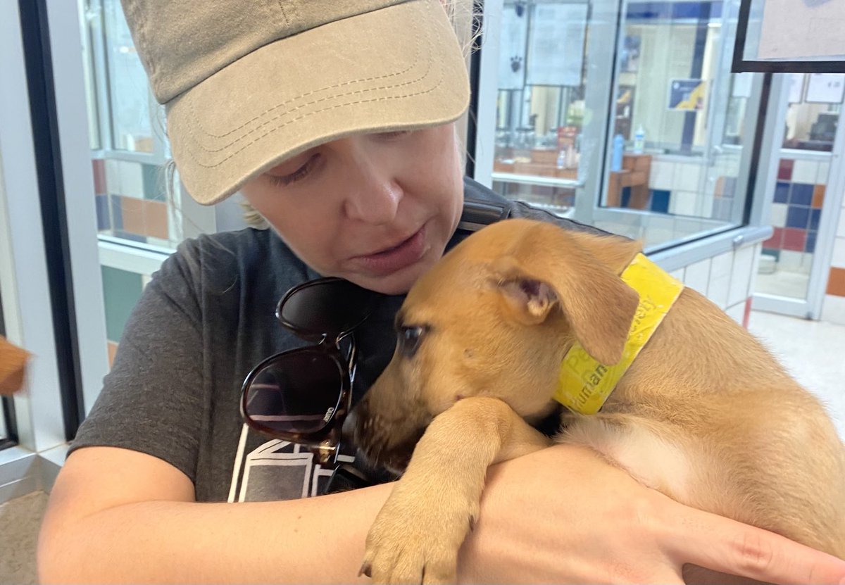 amy_galvan's tweet image. Cuteness overload at the ⁦@HoustonHumane⁩ Society today! Lots-o-fun snuggling with the puppies &amp;amp; kitties, plus helped decorate their pride float &amp;amp; assemble 84 bags of dog food for the Pet Pantry event. I 🫶 @Stantec in the Community Week! #StantecTogether #StantecHOU