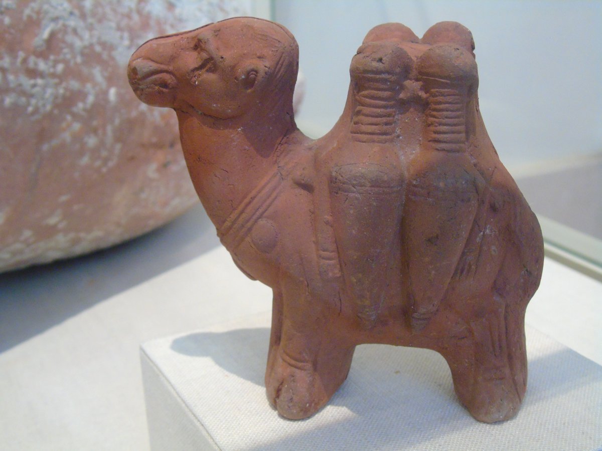 A terracotta figurine from #Roman-period Egypt, of a camel loaded up with a cargo of four amphorae strapped to its back. This piece was made around 1800 years ago 🐪 #WorldCamelDay #Archaeology