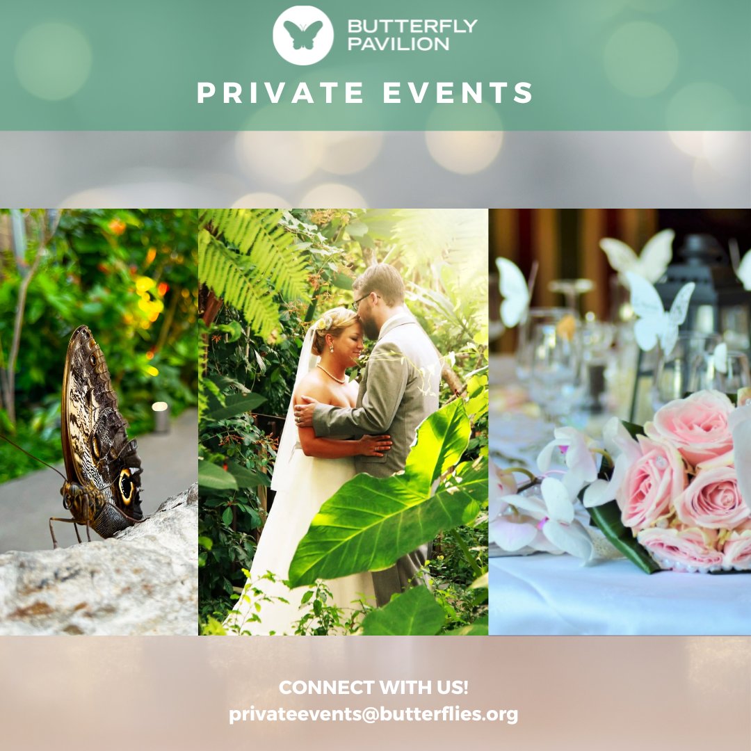 As you embark on your journey together, allow our tropical butterfly conservatory to be the backdrop of your most cherished memories, where every moment feels like a fairytale.

Visit Butterflies.org/Private-Events to learn more!

#PrivateEvents #Proposals #DenverWeddings #CultureForAll