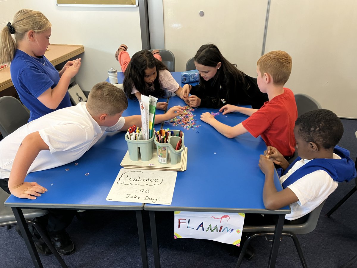 Broomhouse Primary 5 tweet media