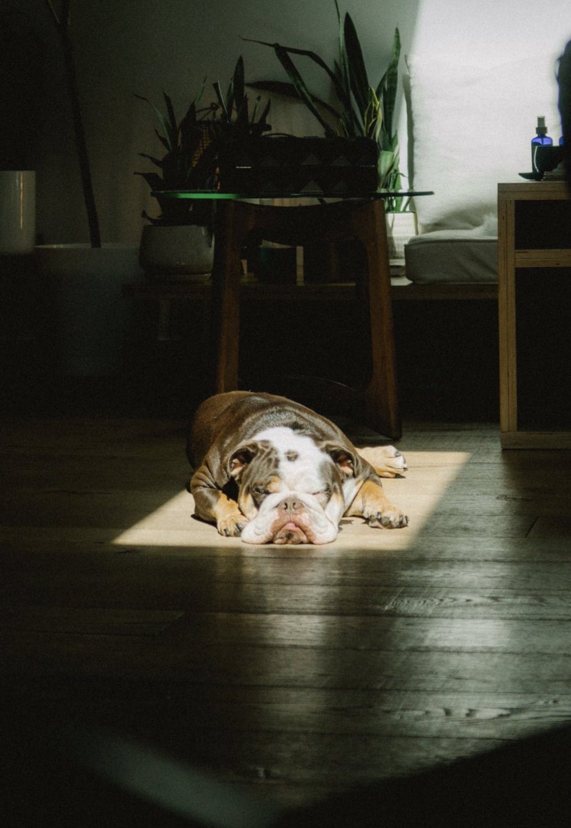 BeefThings's tweet image. i am art