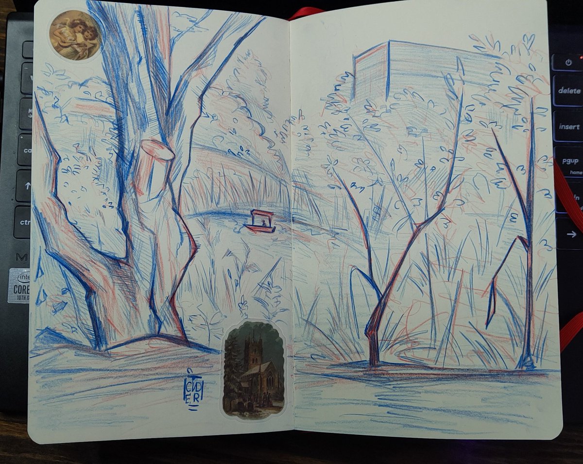 сидр 🍾 tweet media