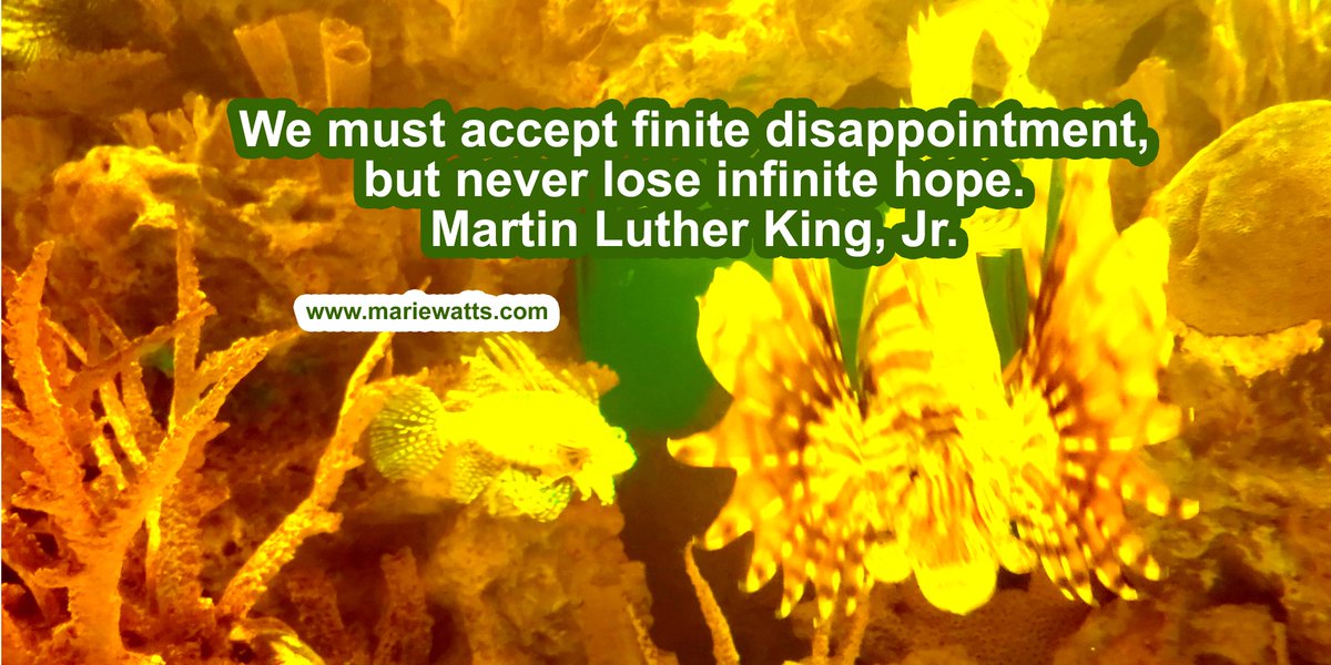#InfiniteHope
#NeverLoseHope
#OvercomingDisappointment
#MLKQuotes
#InspirationForAll