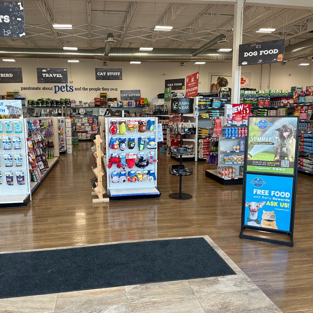 Ren's Pets tweet media