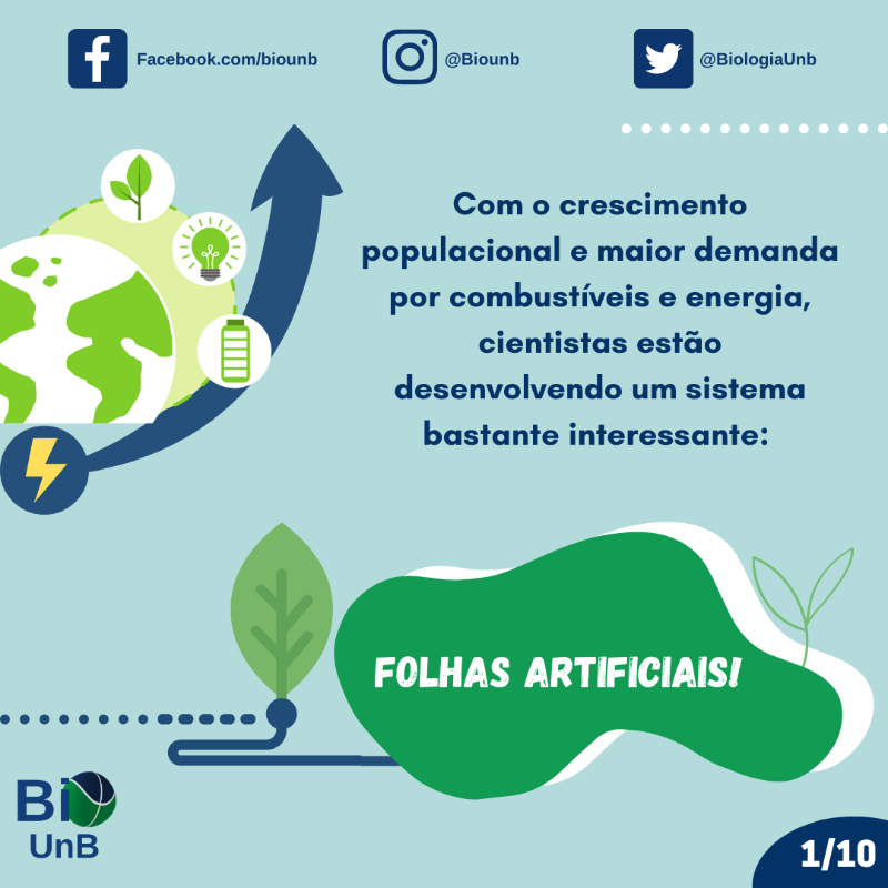 BiologiaUnB's tweet photo. Como seria se pudéssemos aumentar nossa produção energética com a ajuda de folhas artificiais? 🧐
O projeto A-leaf busca reproduzir a fotossíntese de forma artificial e os resultados foram surpreendentes 🍃
#ciencia #sustentabilidade #greentech #energia #aleaf