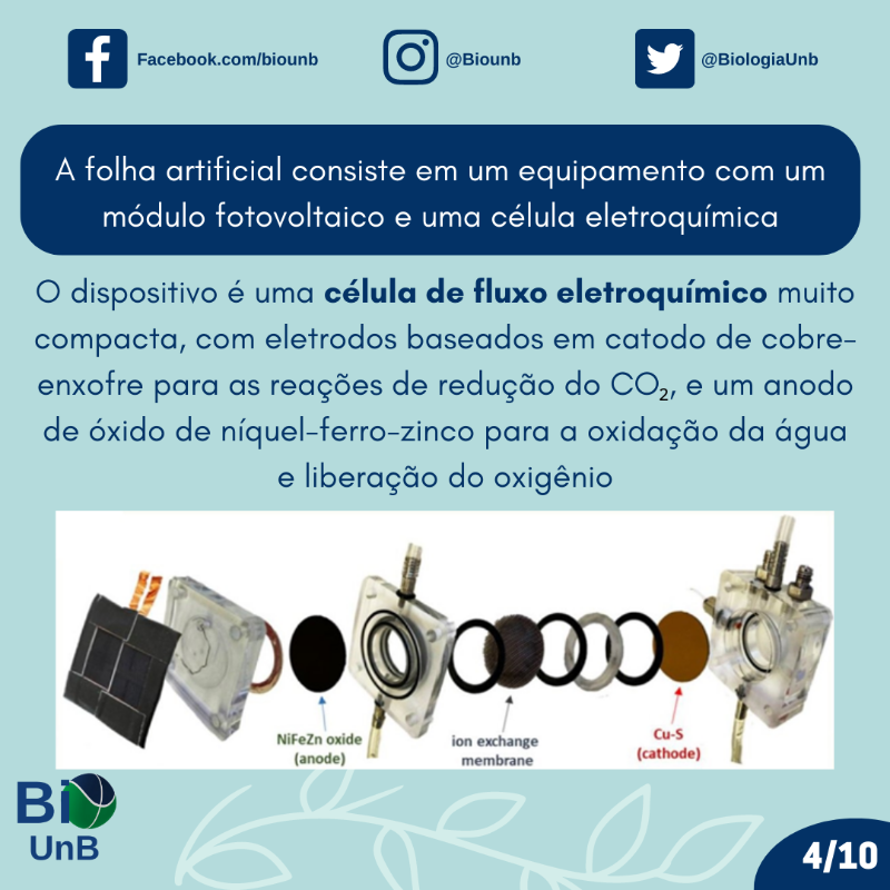BiologiaUnB's tweet photo. Como seria se pudéssemos aumentar nossa produção energética com a ajuda de folhas artificiais? 🧐
O projeto A-leaf busca reproduzir a fotossíntese de forma artificial e os resultados foram surpreendentes 🍃
#ciencia #sustentabilidade #greentech #energia #aleaf