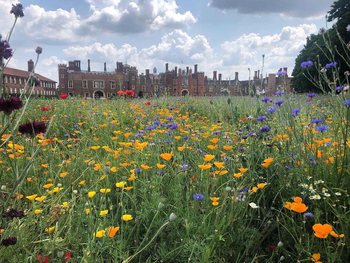 Elizabeth Burrell tweet media