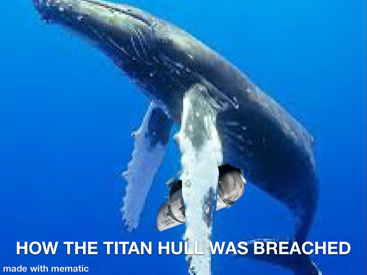 Al Stroh (@anti_climactic) on Twitter photo 