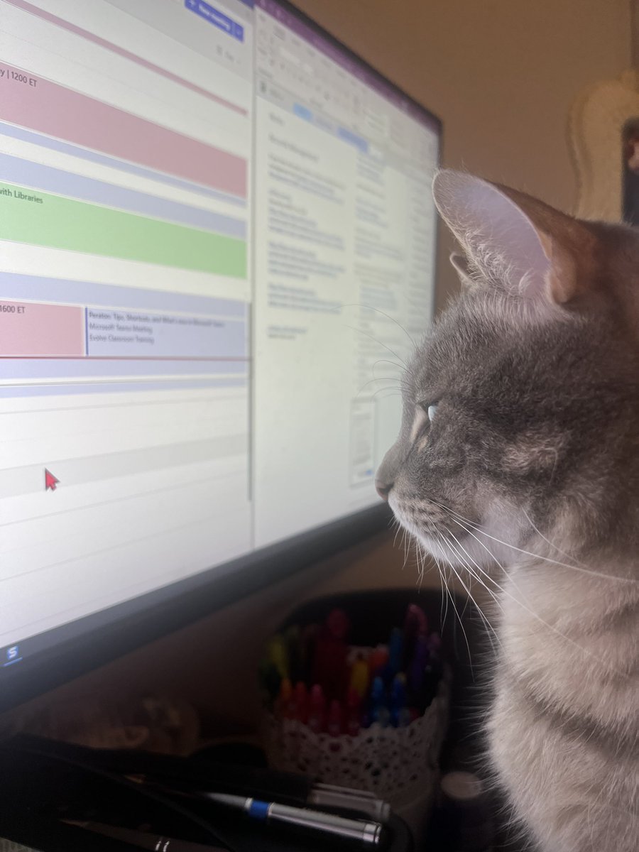TanyaKeyser's tweet photo. @Arochius Meanwhile on my desk… https://t.co/m37QDnJsPy