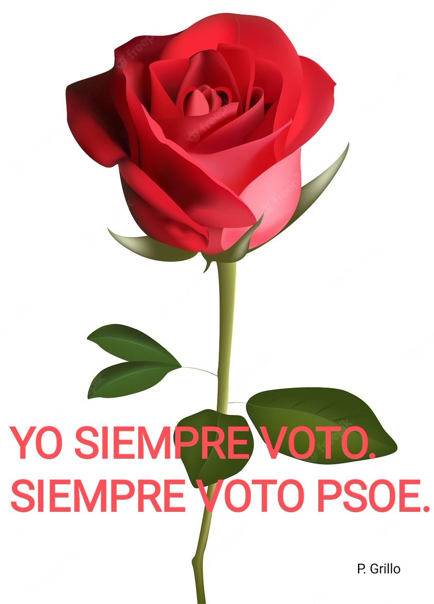 🔴Conservadores con dignidad. 🔴Liberales con respeto a la democracia. 🔴Centristas que valoran la igualdad. 🔴Votar al @ppopular es lo mismo que votar a @vox_es Estarías votando en contra de todo lo que has conquistado en estos 45 años. #VotaPSOE