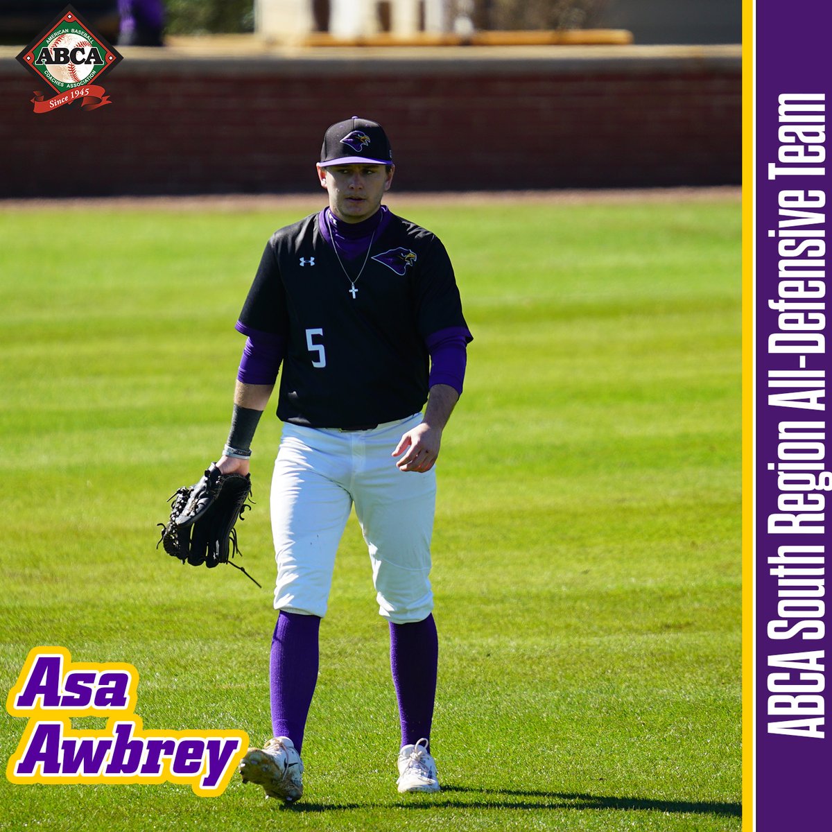 UMFalcons's tweet photo. 🚨 All-Defensive Team 🚨

After leading @UMoTownBaseball defensively in 2023, Ben Teel and Asa Awbrey have been named to the ABCA South Region All-Defensive Team ‼️

📰 https://t.co/EeCJ5bZban

#RiseAbove https://t.co/fv3qd7iuZN