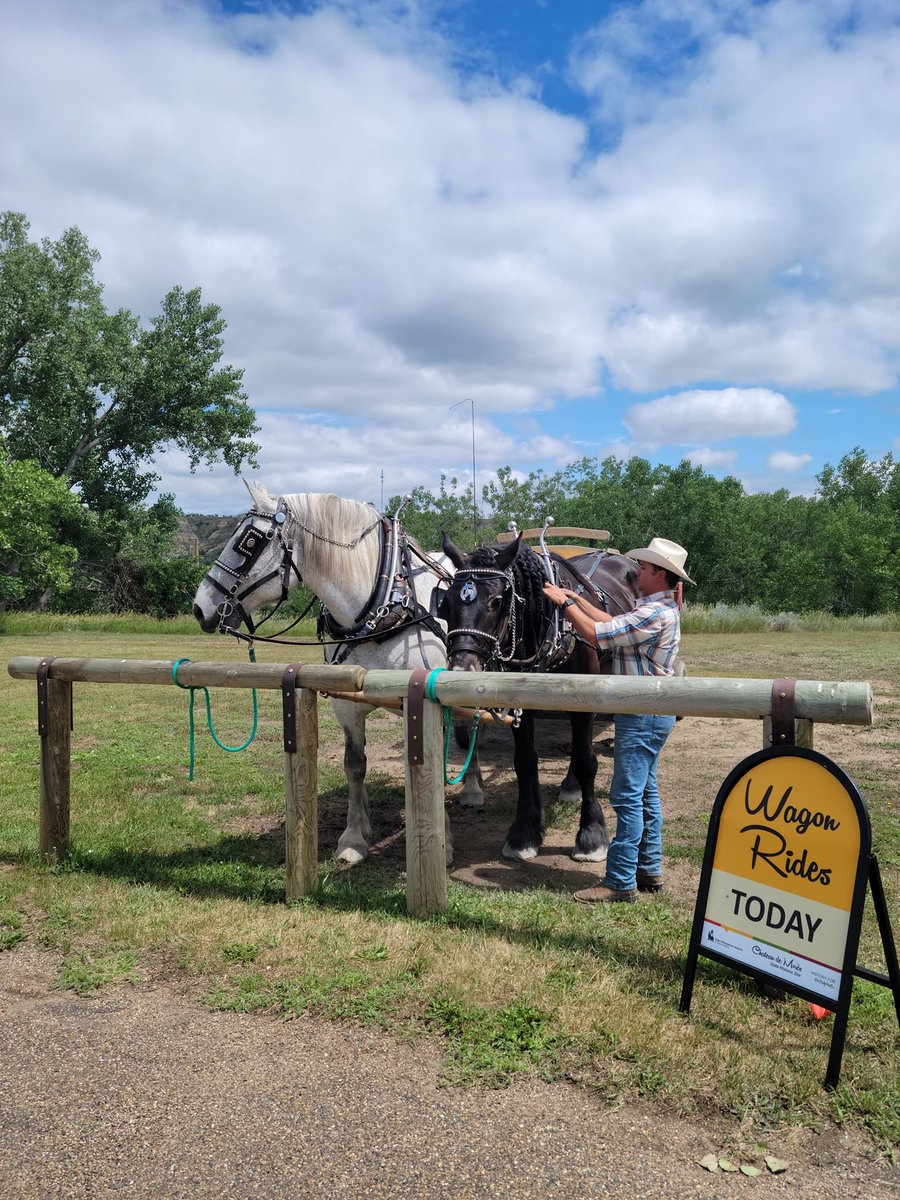 Chateau de Morès SHS tweet media