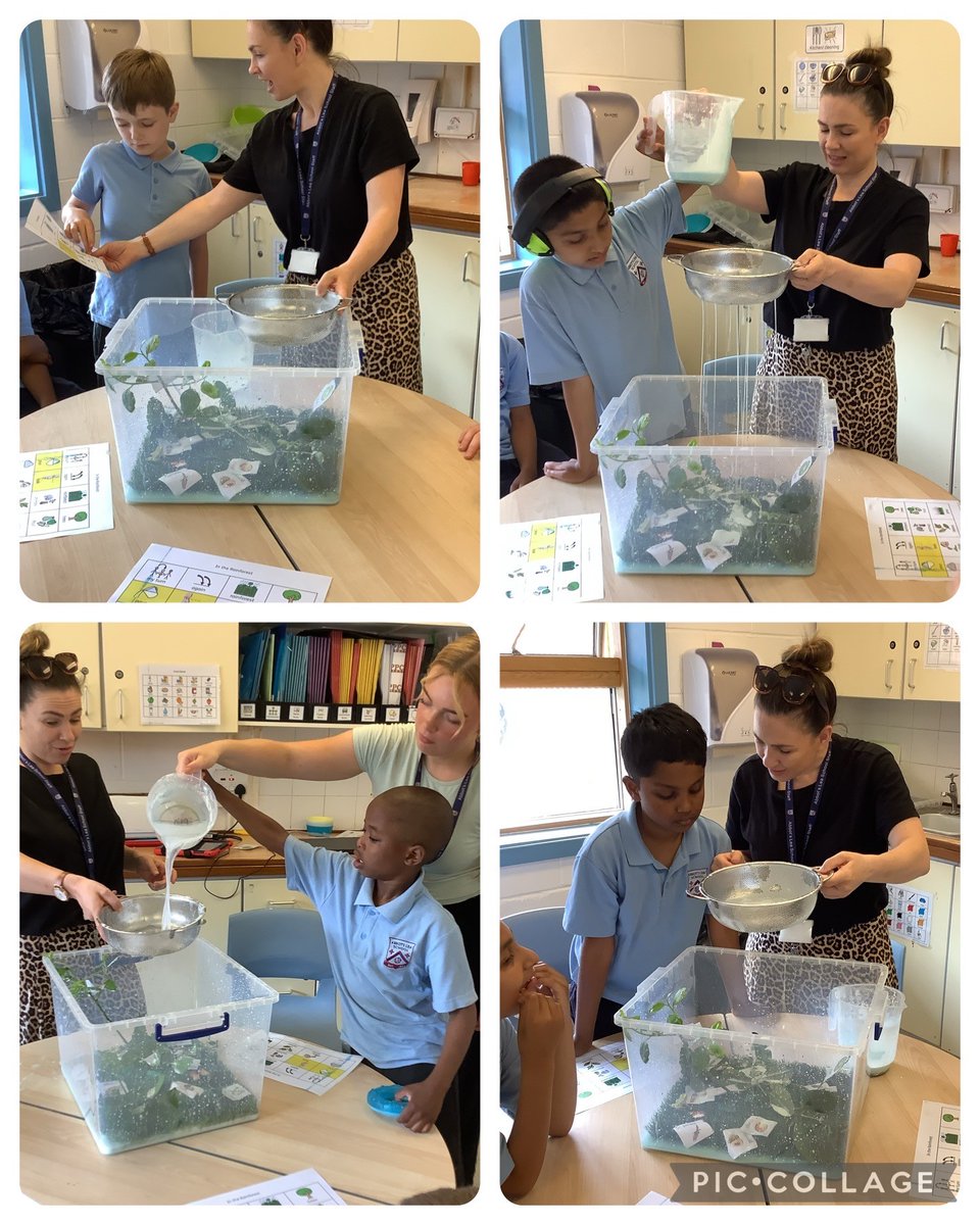 Spain class explored the rainforest by experimenting with pouring and sieveing gloop. Spain class observed carefully as the rain poured down on the plants and animals! #rainforestexplorers <a href="/AbbotsLeaSchool/">Abbot's Lea School</a>