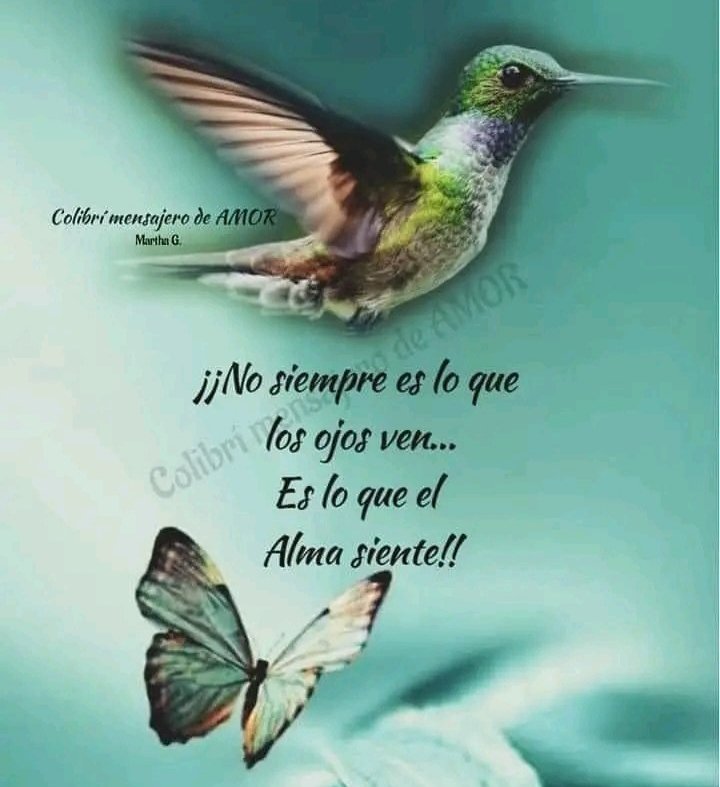💚🦋💚💚💚💚💚💚💚🦋💚