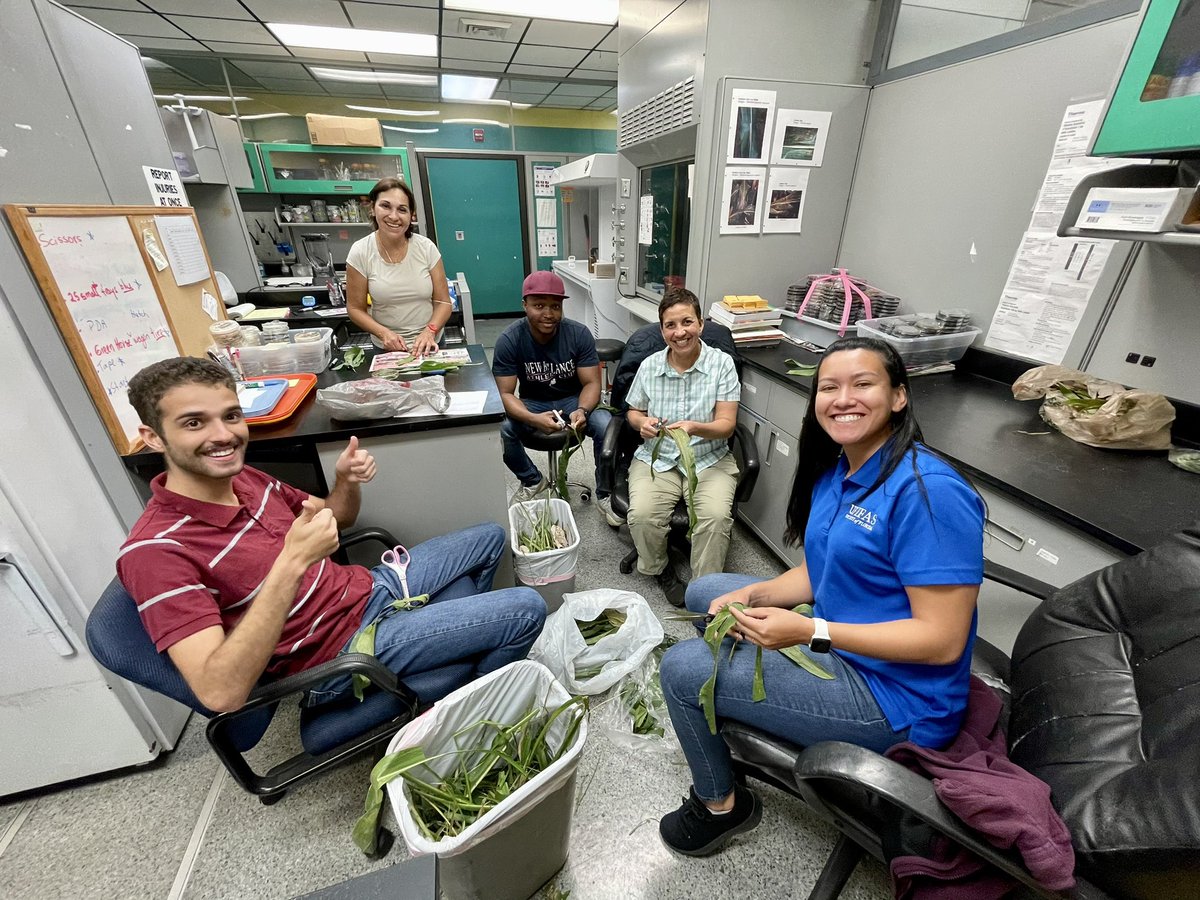 Teamwork at its finest! 💪🚀 Here’s a snapshot with my amazing teammates, showcasing the power of collaboration. When it comes to tackling challenges, we’re always ‘all hands on deck’.  The support I get from my team is unmatched! 🤝 #WorkDreamTeam