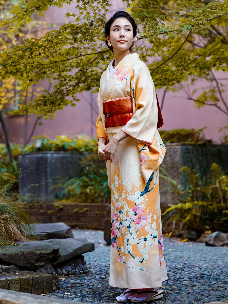 @LucieSimon94 @widadk Un kimono ?