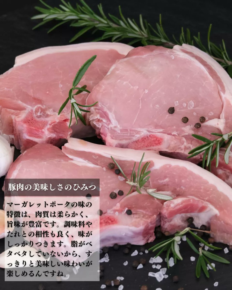 bosoomusubi's tweet photo. おはようございます、房総おむすびです！

明日土曜日は週に１度の房総おむすび！今回はおかずの王道『豚ロースの生姜焼き』をおにぎりの中にいれてみました！

千葉県産の豚肉、生姜、お醤油でつくった生姜焼き、ぜひ手にとってみてくださいね！

営業時間が短いのでご注意ください。

#房総おむすび https://t.co/CYrziXGtUP
