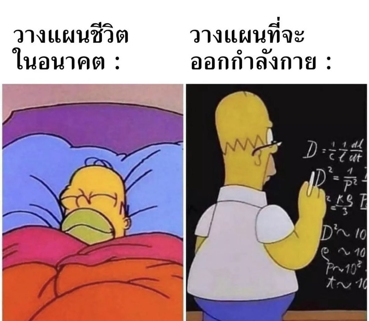 ช่างแม่ง🐰🏳️🌈 tweet media