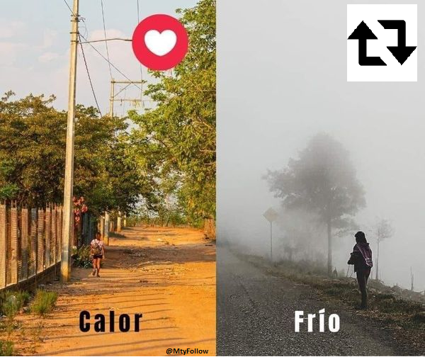 Arreglemos esto como gente civilizada, que es lo tuyo?