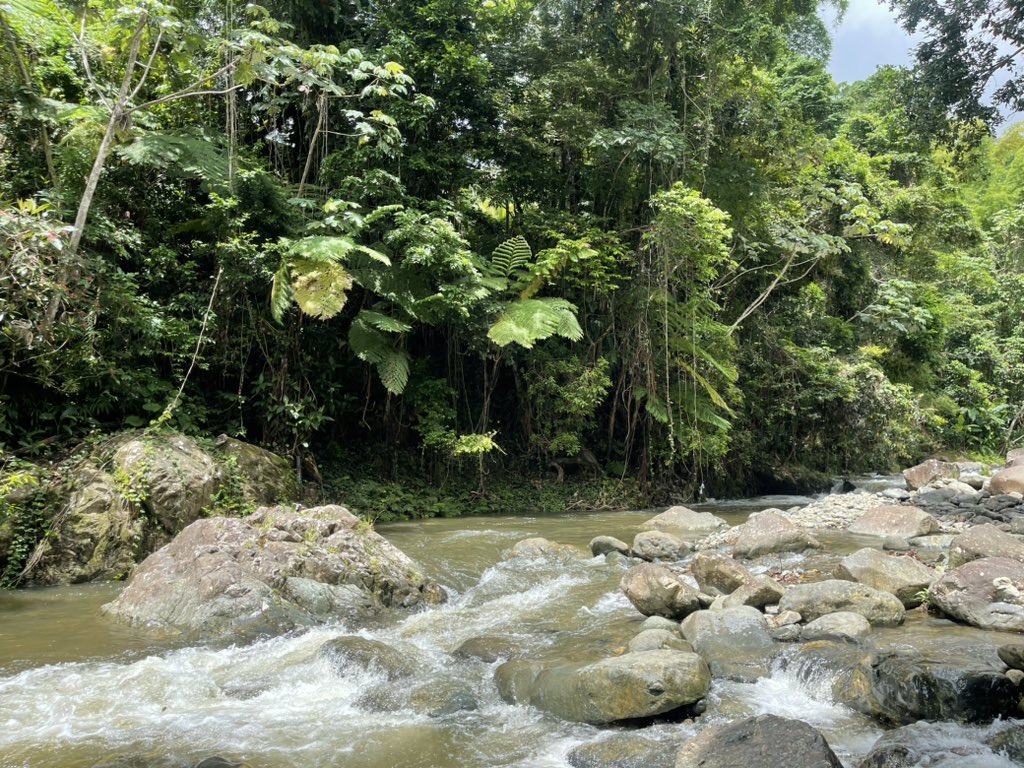 JustinMordecai4's tweet photo. Stepped away from the computer for a bit ✌🏾🇵🇷 
#EnjoyYourSummer https://t.co/Re2QxBsQdN