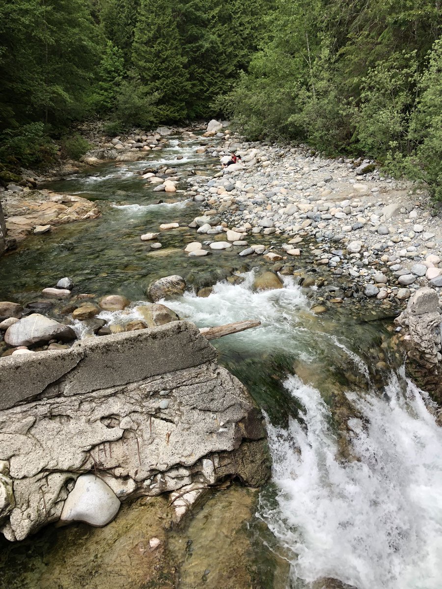 _Anicka's tweet image. Instantní mír v duši, když jdes do přírody 🤍