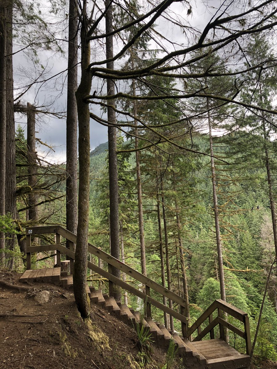 _Anicka's tweet image. Instantní mír v duši, když jdes do přírody 🤍