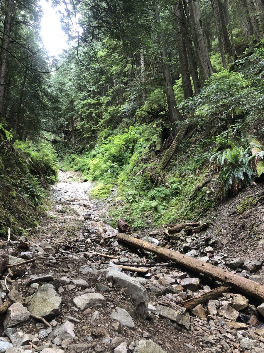 _Anicka's tweet image. Instantní mír v duši, když jdes do přírody 🤍