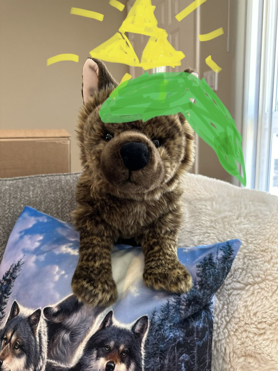 primeshibashop's tweet image. The Legend of…⚜️ #primeshiba #kaiken #dogplush