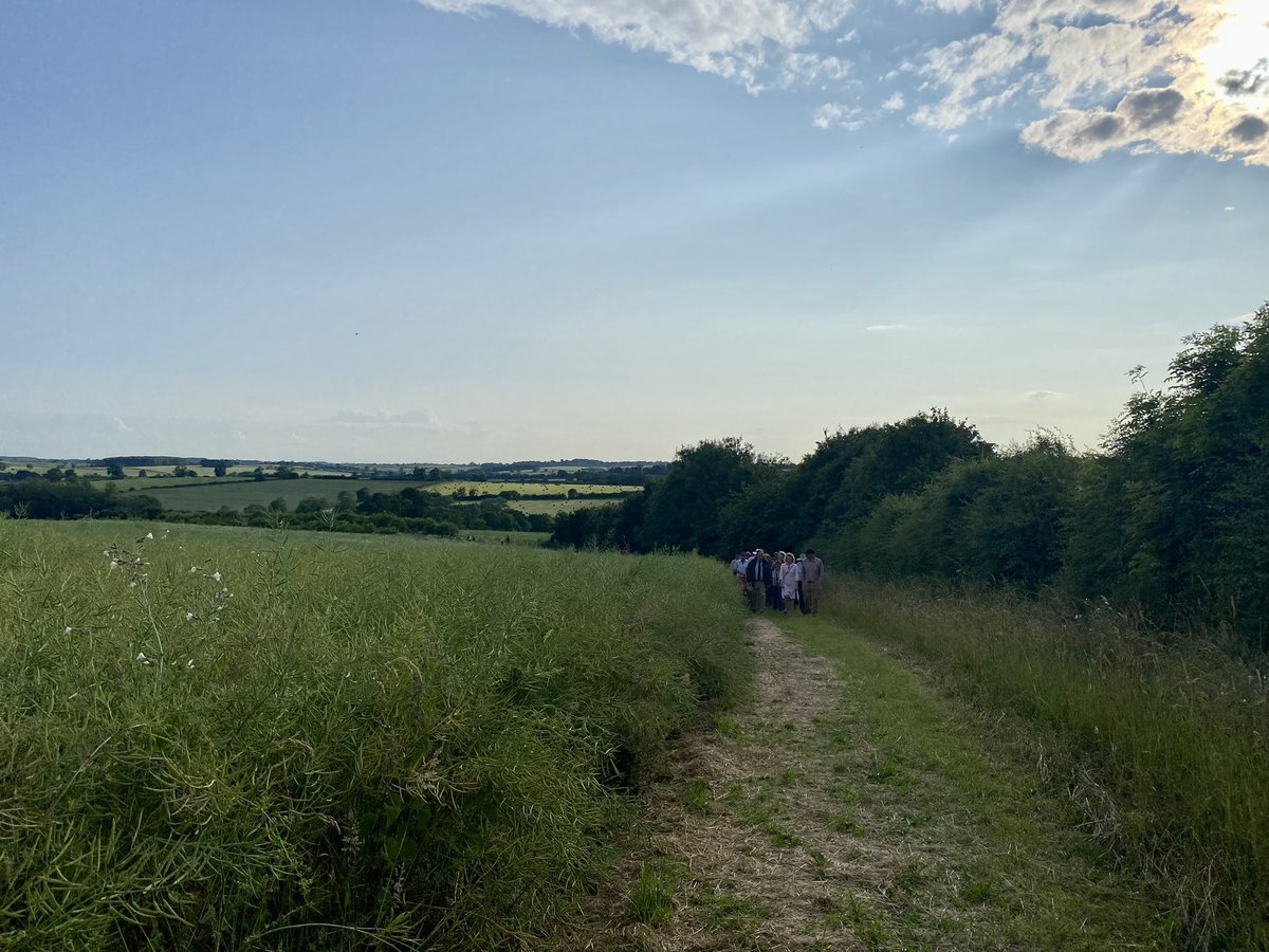 Alice Mead tweet media