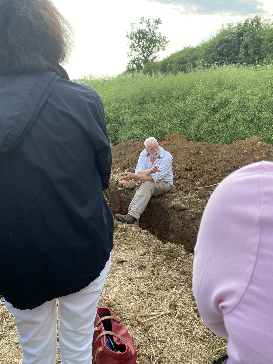 Alice Mead tweet media