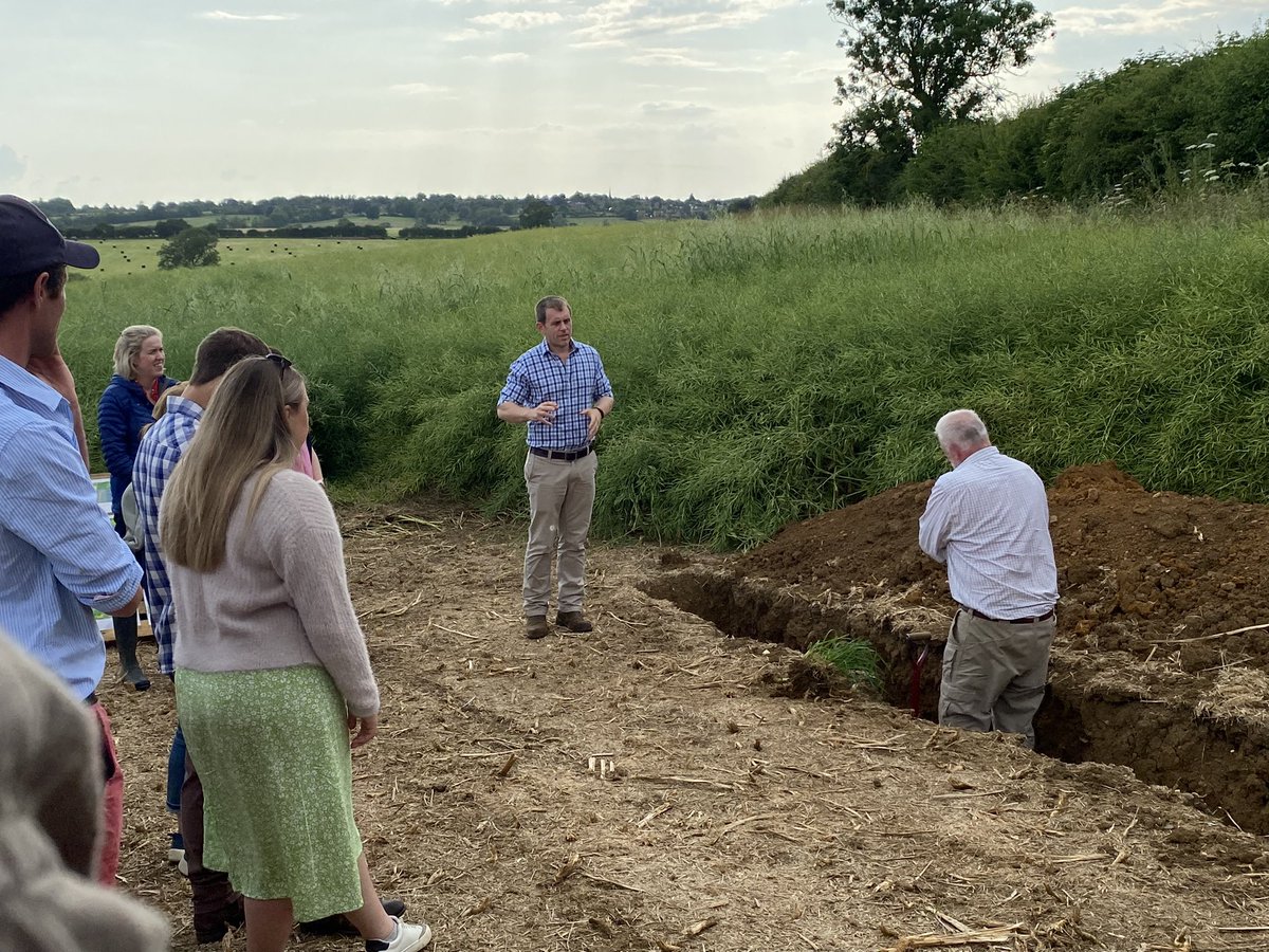 Alice Mead tweet media