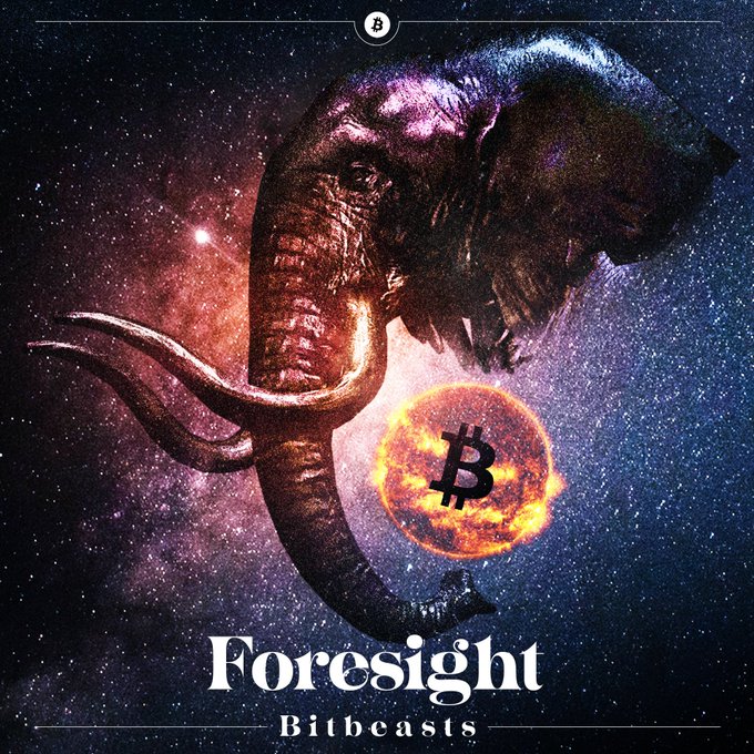 Bitcoin Artisan⚡ tweet media