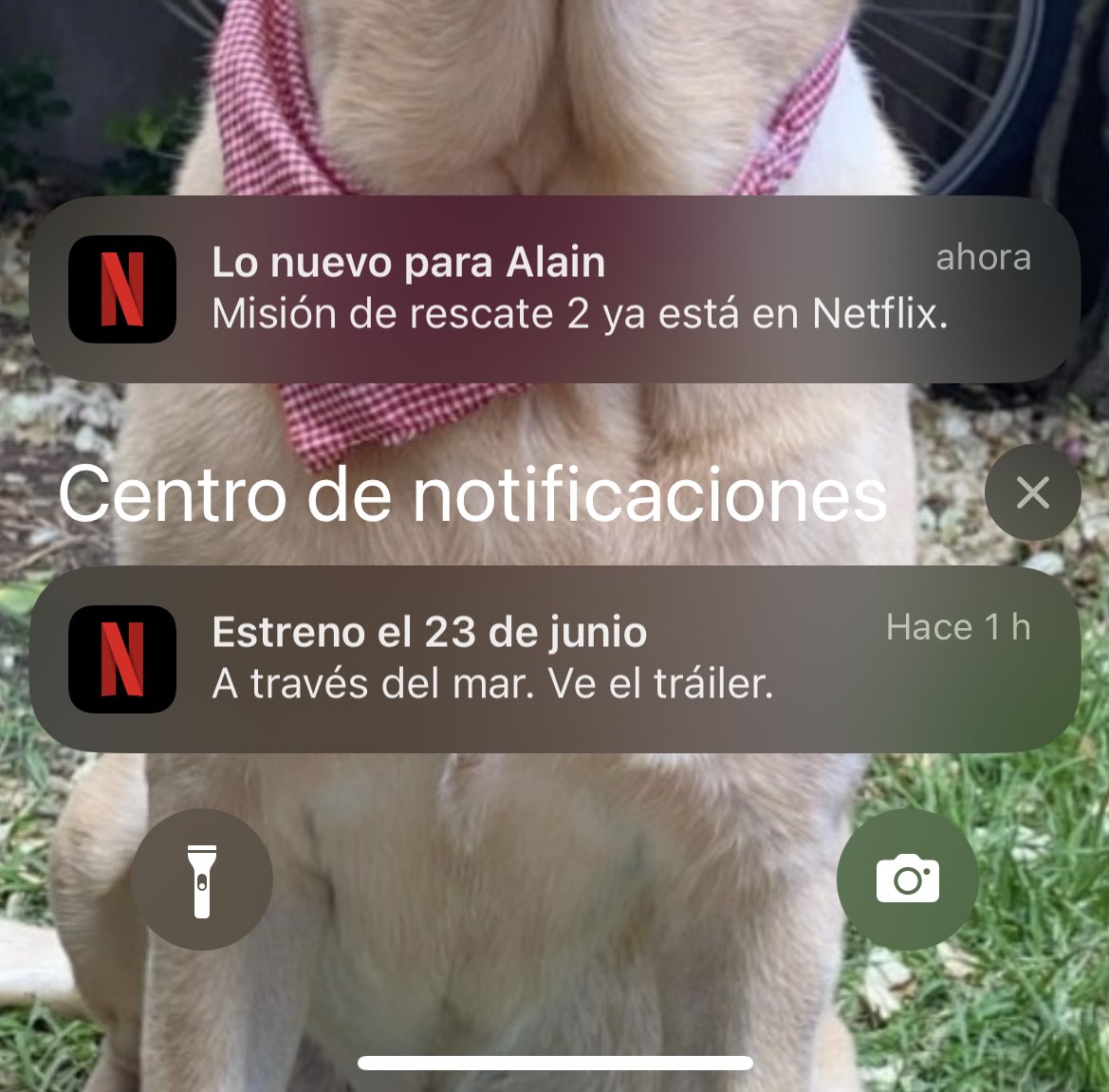 Alain V. tweet media