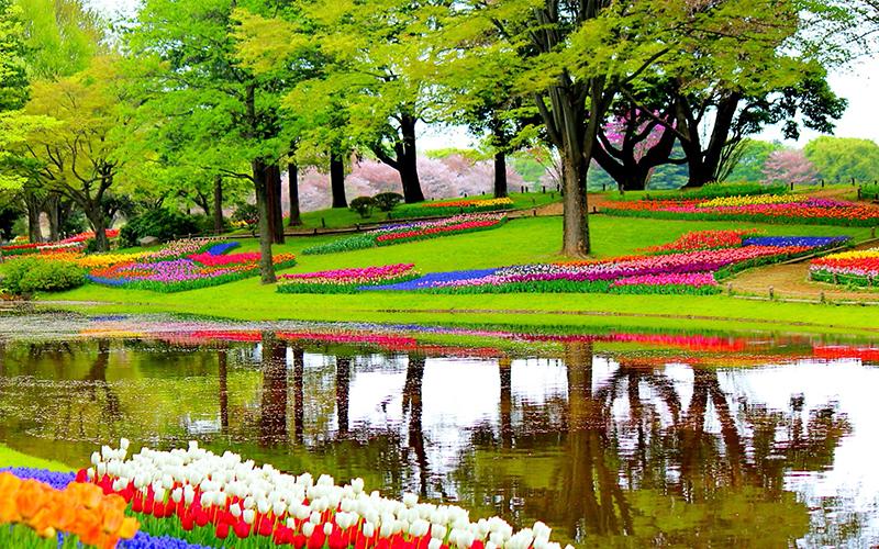 2024 tulip tours! Book Now! 🌷

See our range of tulip tours! 
5 or 8 day tours available! Premium barges on offer!

See more: conta.cc/46dNpzx
#slowtours #tulips #netherlands #hollandtours #2024tours #tuliptours