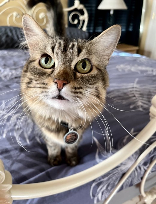 Watch ProFotoX's leaked NSFW photo on TwXstars