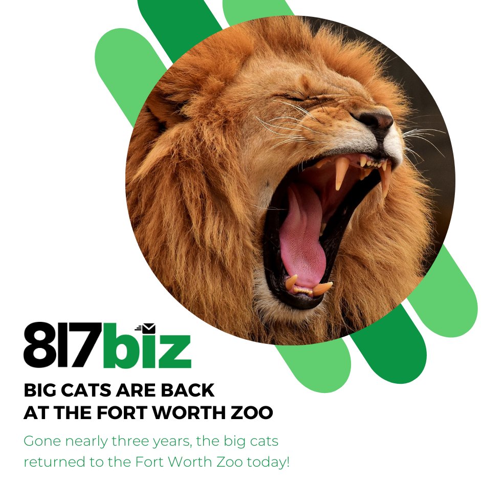 The moment we've been waiting for has arrived <a href="/FortWorthZoo/">Fort Worth Zoo</a>. It's time to celebrate as they unveil the incredible Predators of Asia &amp; Africa exhibit. In case you missed this news, make sure you sign-up for our free #TarrantCounty newsletter

Sign-up today: 817biz.com
